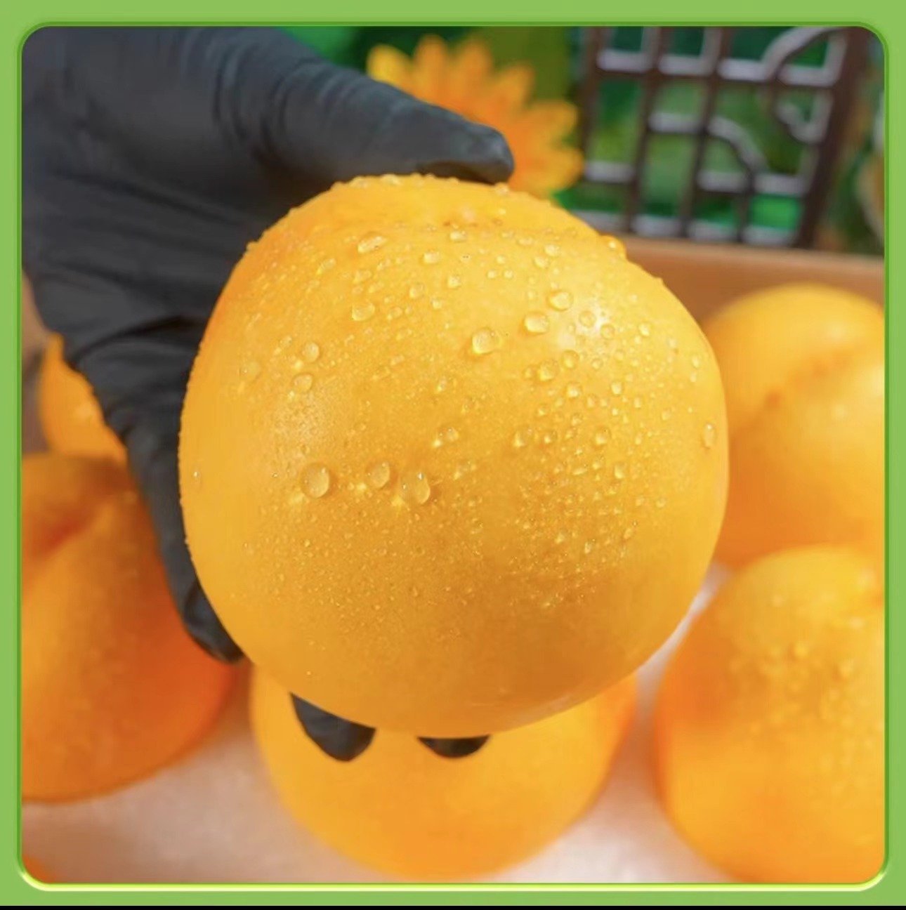 图片_20240619011648