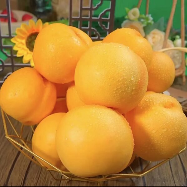 Dandong Golden Peach