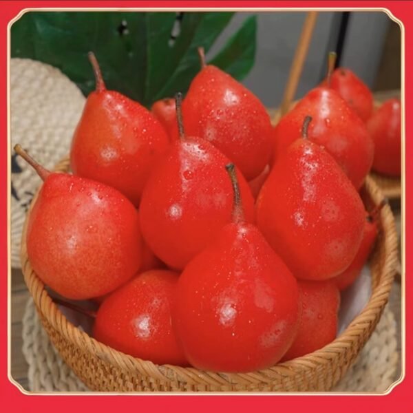 New Zealand Red Pear